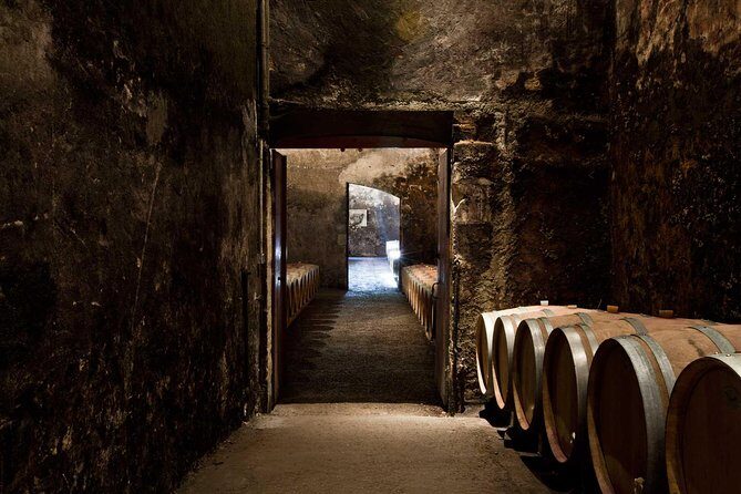 Bordeaux: Wine Tour and Tasting - The wine-making walkthrough: red, white, and rosé