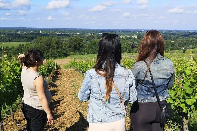 Bordeaux wine tour off the beaten path (red & white wines) - Sadirac in Entre-deux-Mers: a great start for comparing wines