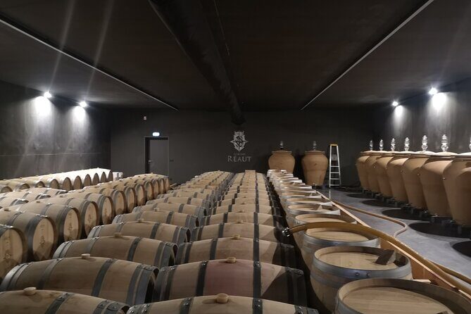 Bordeaux wine tour off the beaten path (red & white wines) - Cadaujac and Pessac-Léognan: Grand Cru facilities and standout red/white contrast