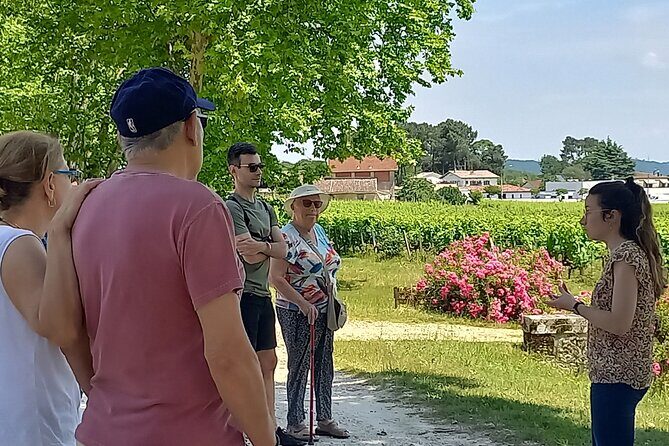Bordeaux wine tour off the beaten path (red & white wines) - A tight 4 hours with air-conditioned driving and real tastings