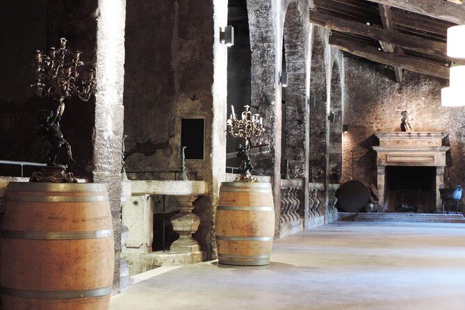Chateau du Taillan and Park including Wine Tasting Tour - Château du Taillan: a working Medoc stop that fits Bordeaux days
