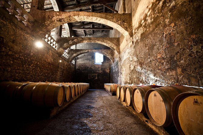 Chateau du Taillan and Park including Wine Tasting Tour - Getting there and the 11:00am timing that keeps it relaxed