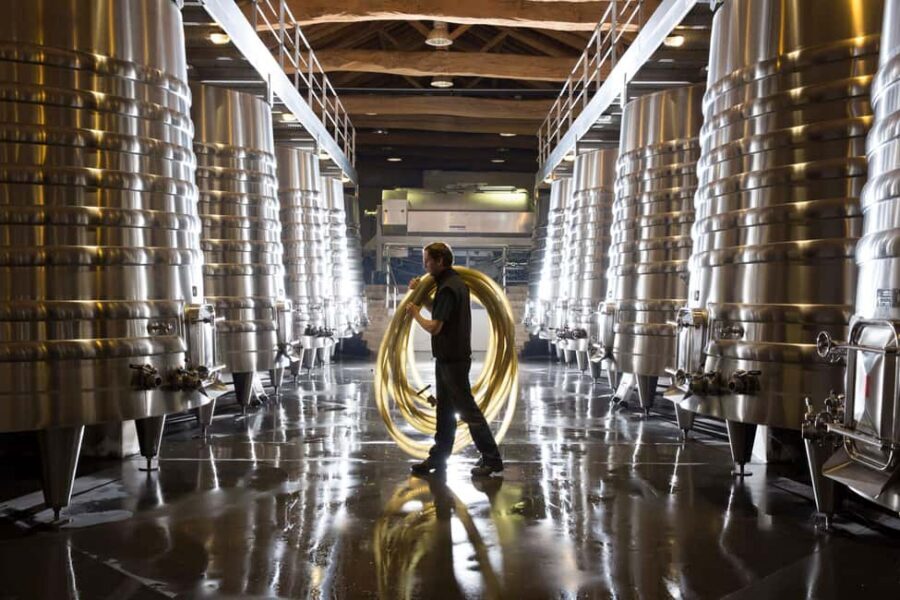 Château Olivier: One Hour Vineyard Tour with Wine Tasting - Château Olivier: One Hour Vineyard Tour From Bordeaux’s Doorstep