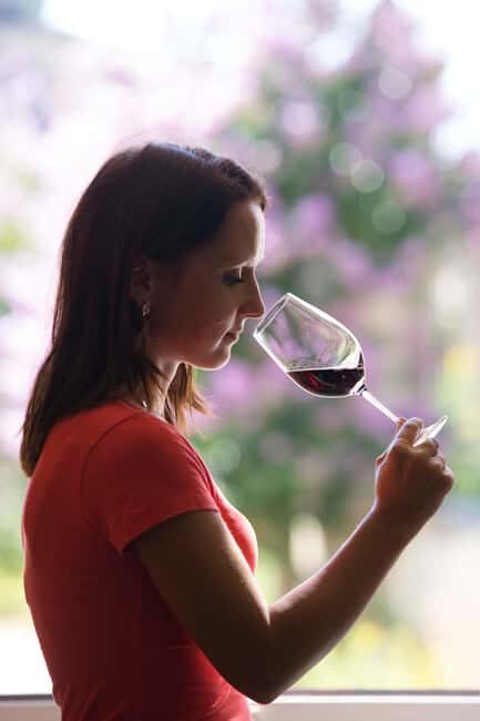 Château Olivier: One Hour Vineyard Tour with Wine Tasting - What You Might Miss: The Château Interior Is Not Guaranteed