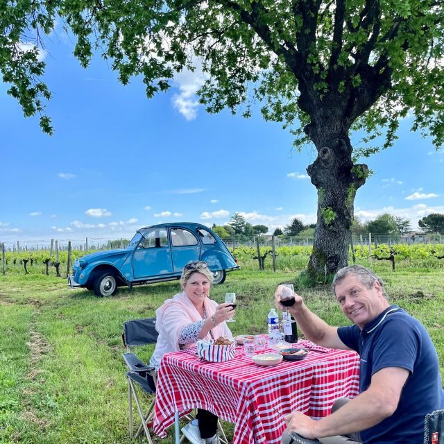 Classic car private tour : half day Margaux & Médoc - Margaux and Médoc: what you learn before you taste