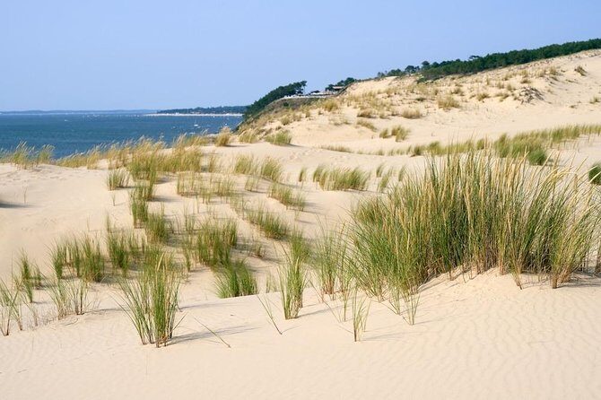 Dune du Pilat and Oysters Tasting in only 1 hour away from Bordeaux ! What else? - Getting Picked Up, Staying Comfortable, and Keeping the Group Moving