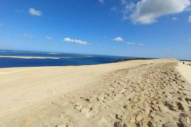 Dune du Pilat and Oysters Tasting in only 1 hour away from Bordeaux ! What else? - Food and Drink: Oyster Choices, Wine, and Non-Oyster Options
