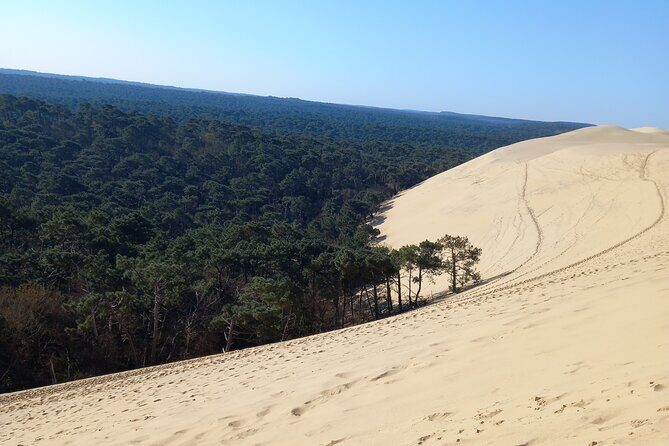 Dune du Pilat and Oysters Tasting in only 1 hour away from Bordeaux ! What else? - Price and Value: Why $150 Can Make Sense for This Combo