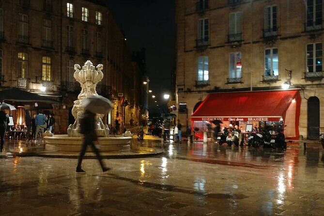 Exclusive ! Discover Vibrant Bordeaux at Night :Night Tour! - Who Should Book This Tour (and Who Might Skip It)