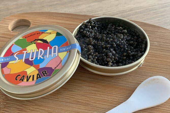"FRENCH EXCELLENCE" : Fine Wines & Delicacies pairing Workshop - The Food Pairings: Caviar to Bordeaux Chocolate