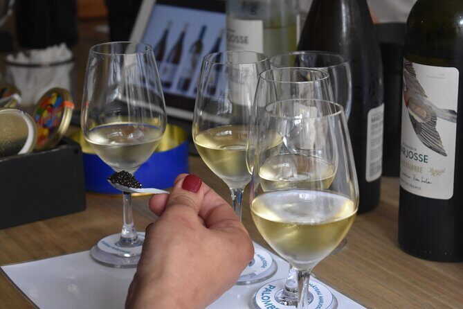 "FRENCH EXCELLENCE" : Fine Wines & Delicacies pairing Workshop - The Pace and Logistics That Make It Easy to Fit Into Bordeaux