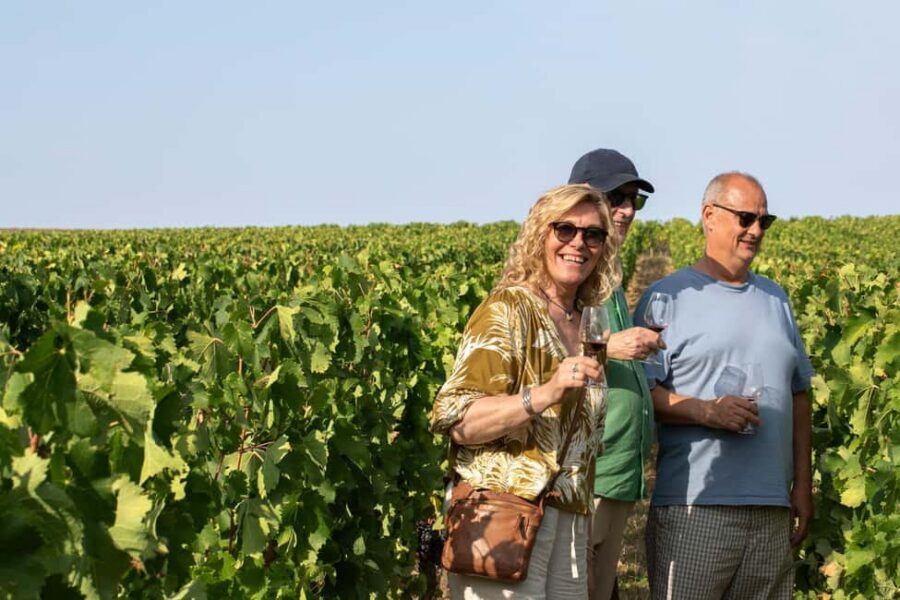 From Bordeaux: Afternoon Saint-Emilion Wine Tasting & snack - Key Things I’d Bookmark Before You Go