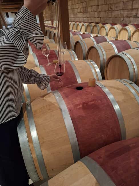 From Bordeaux: Afternoon Wine Tasting in the Medoc Region - The 1855 Great Classified Growth Chateau: Where the Tasting Gets Serious