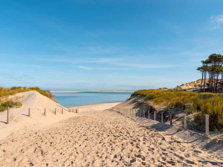 From Bordeaux: Arcachon and Pilat Dune Private Tour - Optional boat time and Banc d’Arguin: when you want more than land views