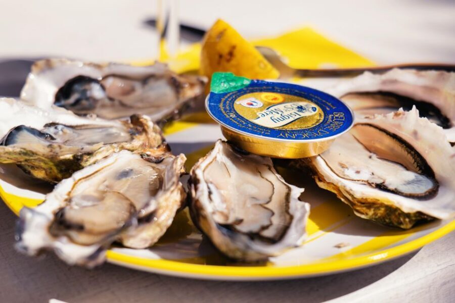 From Bordeaux: Arcachon Bay Full Day Tour and Oyster Lunch - Lunch in Gujan-Mestras: Oysters or Shrimp, Plus Local White Wine