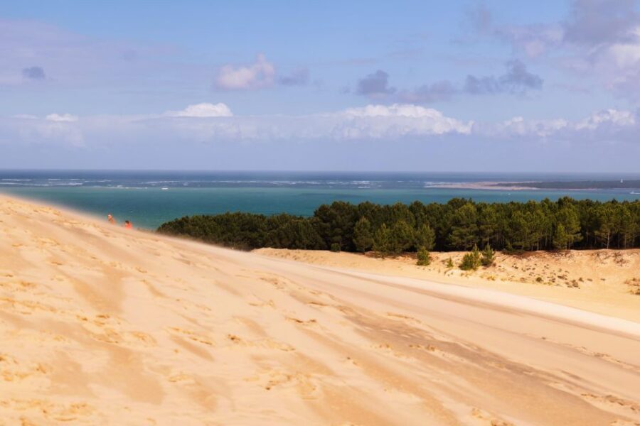 From Bordeaux: Arcachon Bay Full Day Tour and Oyster Lunch - Climbing Dune du Pilat: Steps, Sea Air, and a Wine Reward