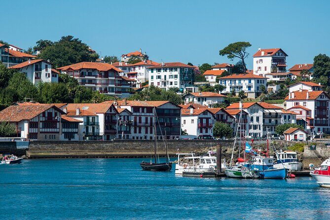 From Bordeaux: Basque Country private tour - Who This Tour Fits Best