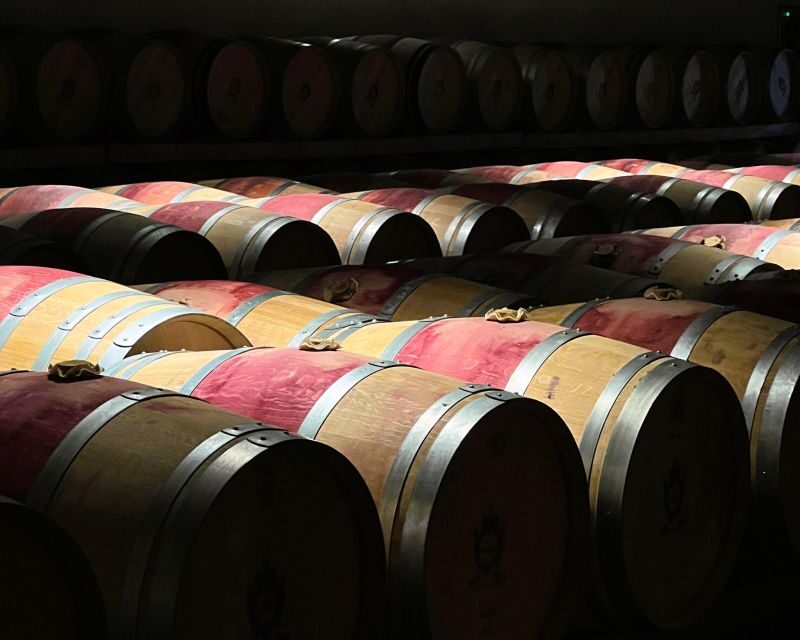 From Bordeaux: Essential Morning Tour with Wine Tasting - Who this tour suits best (and who should skip it)