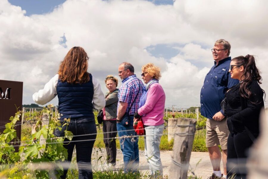From Bordeaux: Essential Morning Tour with Wine Tasting - The 30-minute drive that sets up the wine (instead of just passing time)