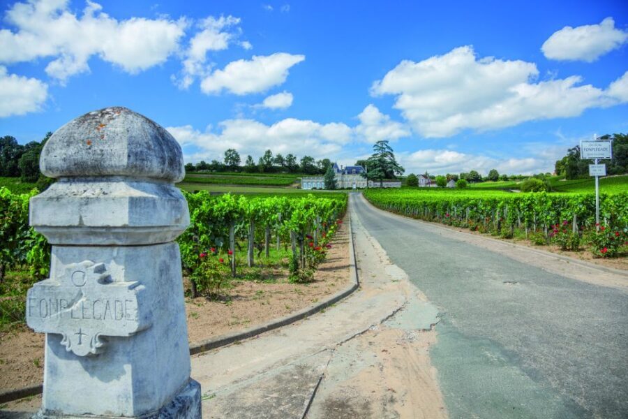 From Bordeaux: Full-Day St Emilion Wine Tasting Tour - Chateau Stop #1: Classified Growth, First Impressions, Real Comparisons