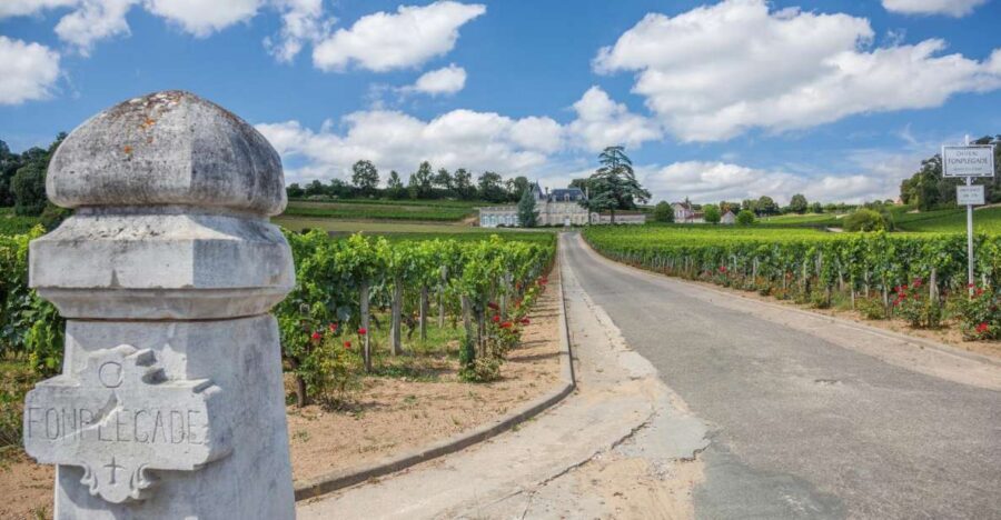 From Bordeaux: Full-Day St Emilion Wine Tasting Tour - The Drive From Bordeaux: Wine Explanations That Stick