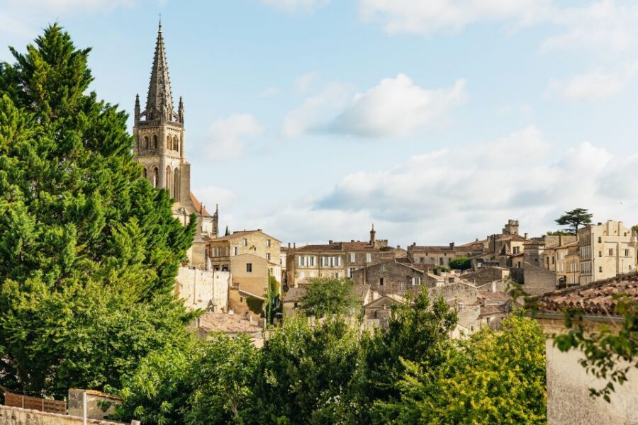 From Bordeaux: Half-Day Saint-Émilion Tour and Wine Tasting - The Wine Tasting of 3 Wines: What You Can Learn in One Sitting