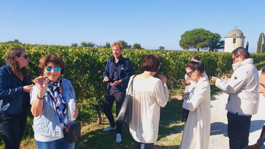 From Bordeaux: Half-Day Saint-Émilion Tour and Wine Tasting - How Much Time You Really Get (and Where It Can Feel Tight)