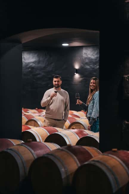 From Bordeaux: Half-Day Saint-Émilion Tour and Wine Tasting - From Bordeaux to the Vineyards: The Van Ride Setup