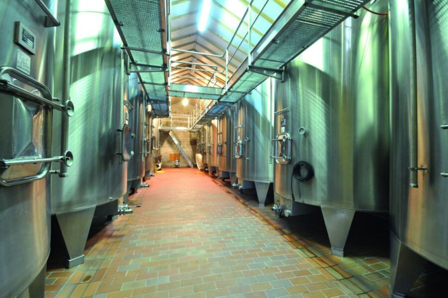 From Bordeaux: Medoc Half-Day Wine Tour - Timing and what to eat (so you enjoy the tastings)