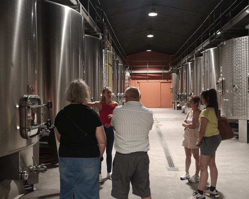 From Bordeaux: Médoc & Margaux Wine Tour Classified Growths - Key Things to Know Before You Go