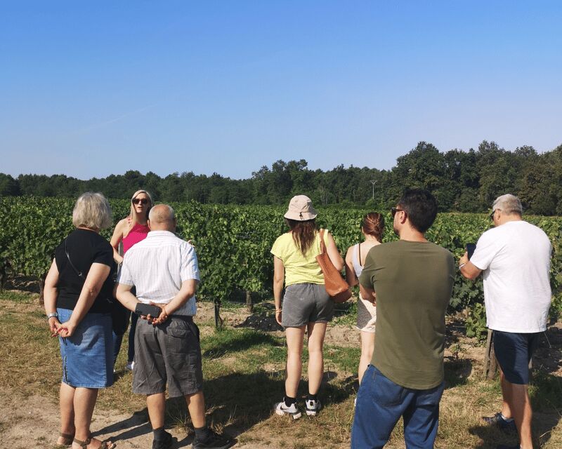 From Bordeaux: Médoc & Margaux Wine Tour Classified Growths - Stop One in Ludon-Médoc: Cru Bourgeois, Organic Farming, and a Real Production Tour