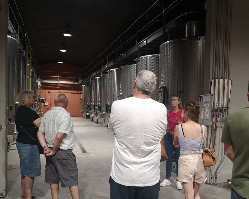 From Bordeaux: Médoc & Margaux Wine Tour Classified Growths - Transportation and Timing: Van Rides Are Short, but Your Day Moves Fast