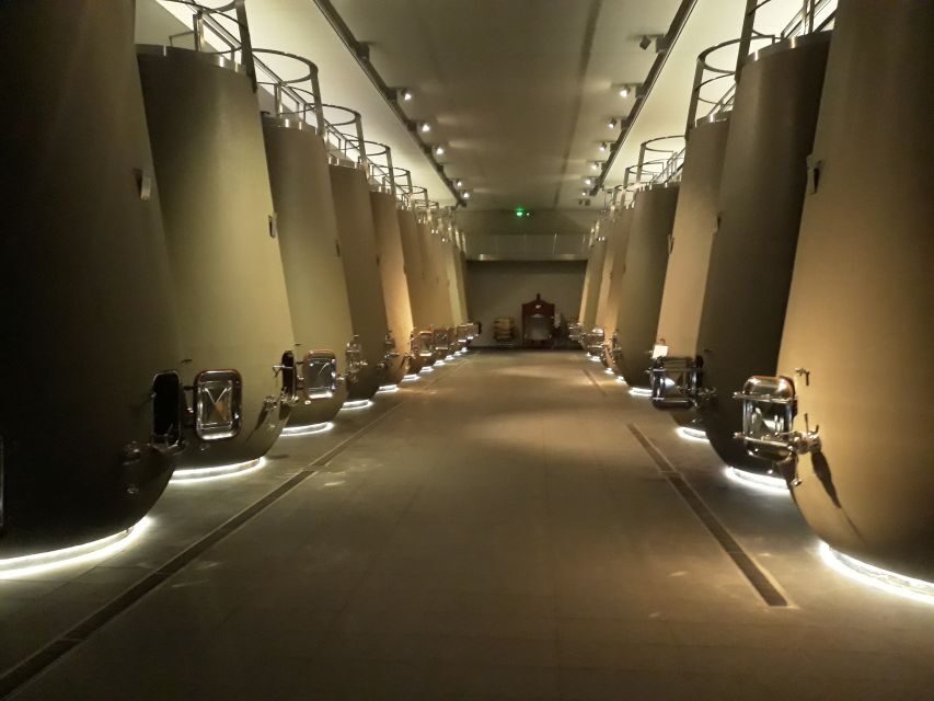 From Bordeaux: Médoc Vineyard and Chateau Tour by Sidecar - Margaux: a guided tour that connects the dots