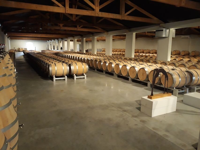 From Bordeaux: Médoc Vineyard and Chateau Tour by Sidecar - Price and value: what $235 buys you (and why it makes sense)