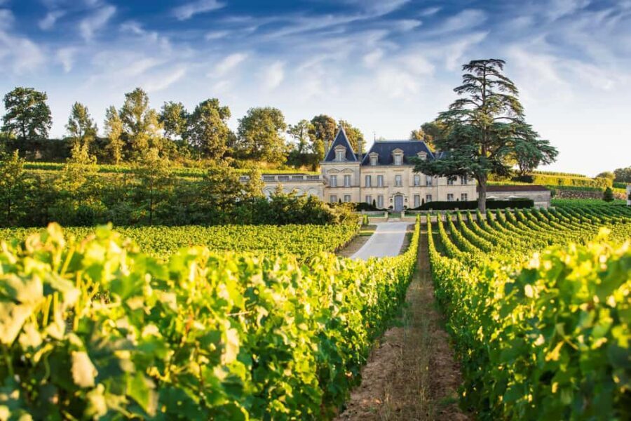 From Bordeaux: Private Wine Tour to Saint-Émilion - Why this Bordeaux to Saint-Émilion tour is such a smart use of a day