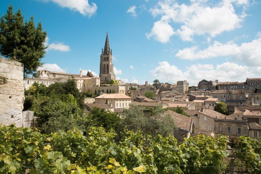 From Bordeaux: Private Wine Tour to Saint-Émilion - Lunch at a castle or a picnic: choosing your best mood for the day