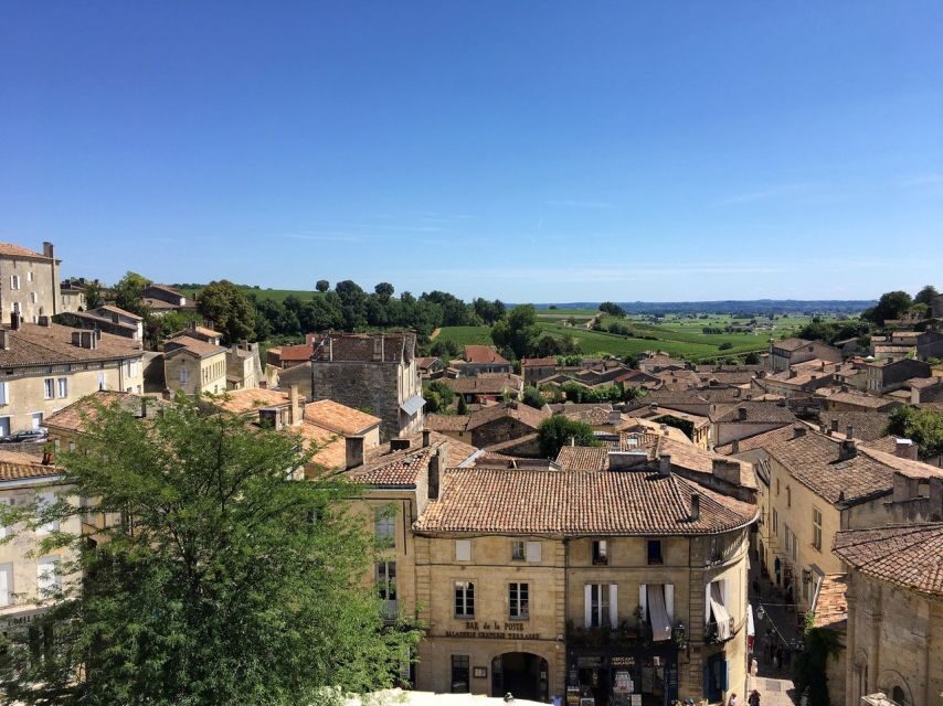 From Bordeaux: Saint-Emilion Guided Wine Tasting Tour - Who should book this Saint-Émilion wine tasting tour