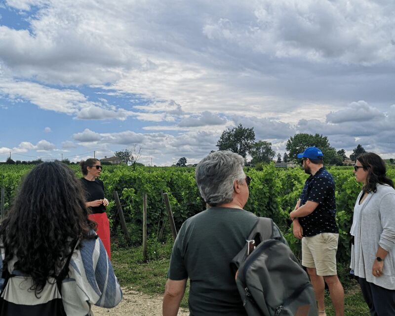 From Bordeaux: Saint-Émilion Half-Day Tour with Wine Tasting - Key highlights you’ll feel on this tour