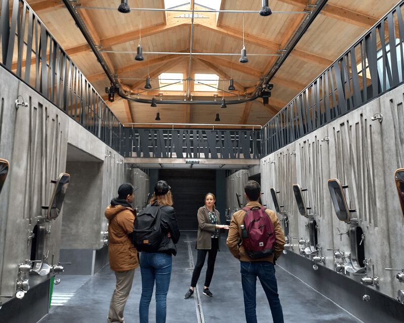 From Bordeaux: Saint-Émilion Half-Day Tour with Wine Tasting - How to taste wine like the guide wants you to