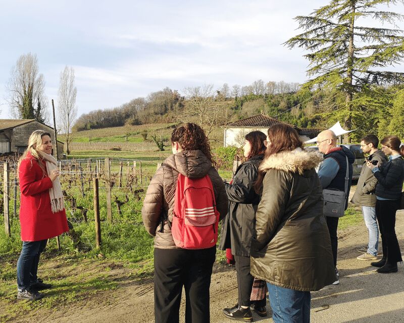From Bordeaux: Saint-Émilion Half-Day Tour with Wine Tasting - The family organic winery stop: vineyard, cellar, and three reds