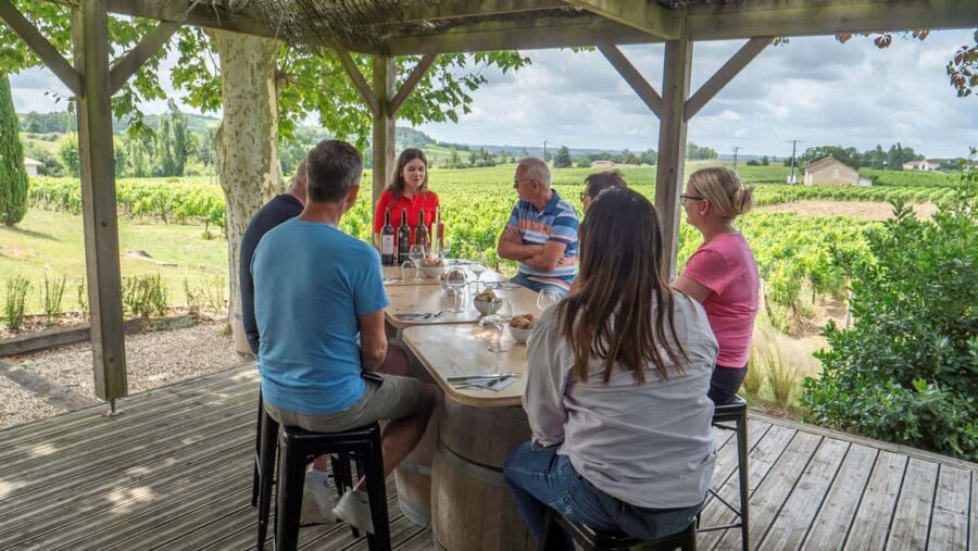 From Bordeaux: St-Emilion Day Tour with Tastings and Lunch - From Bordeaux to Saint-Émilion: the van that keeps the day moving