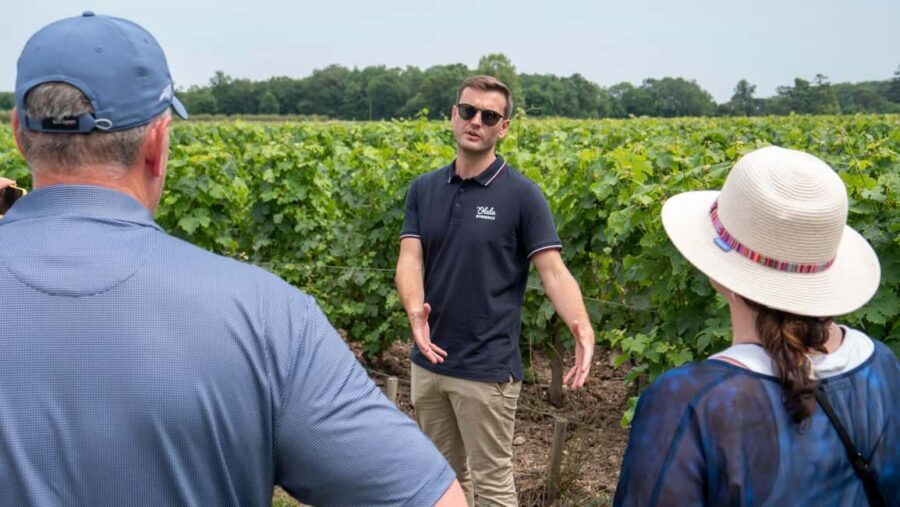 From Bordeaux: St-Emilion Day Tour with Tastings and Lunch - What the small group (8 max) changes about the day
