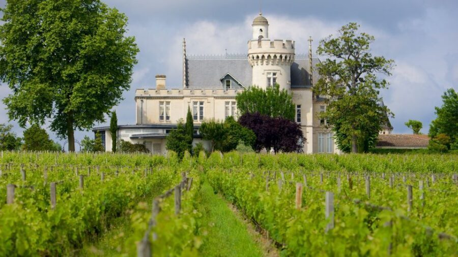 From San Sebastián: Bordeaux & Winery Private Guided Tour - Key highlights worth marking on your map