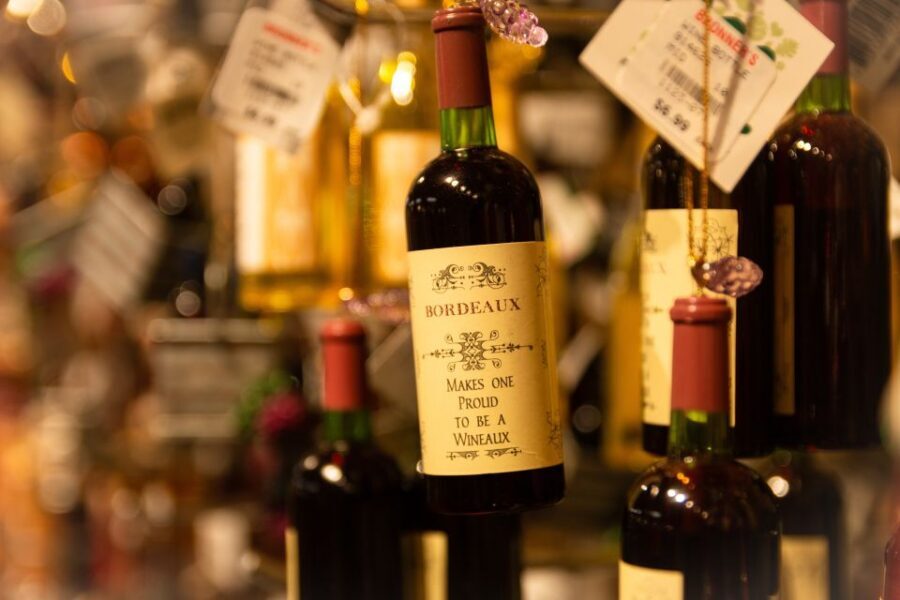 From San Sebastián: Bordeaux & Winery Private Guided Tour - Who should book this tour (and who should skip it)