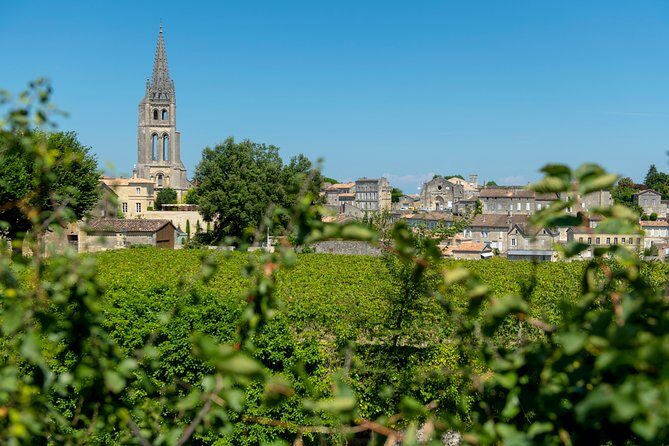 Full-day Saint-Emilion: Village, Undergrounds and Châteaux - Key things to know before you go