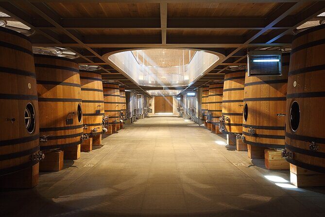 Full Day Tour Saint Emilion with lunch two Chateaux and Village - A Six-Hour UNESCO Day Without the Wine Marathon