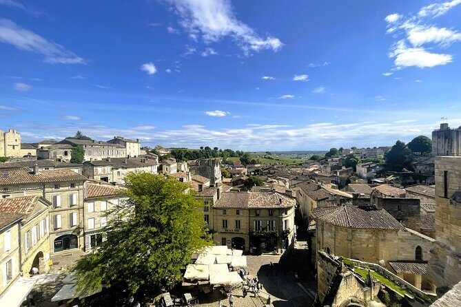 Full Day Tour Saint Emilion with lunch two Chateaux and Village - Second Stop in Saint-Émilion: A Family Estate Tasting