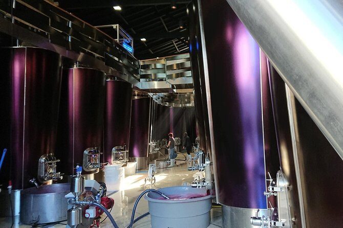 Full-day wine tour in Saint-Emilion (Premium Sedan) - Clos Fourtet: your first real taste of Saint-Émilion winemaking