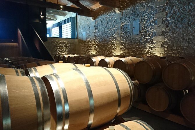Full-day wine tour in Saint-Emilion (Premium Sedan) - Pomerol context and famous château photo stops