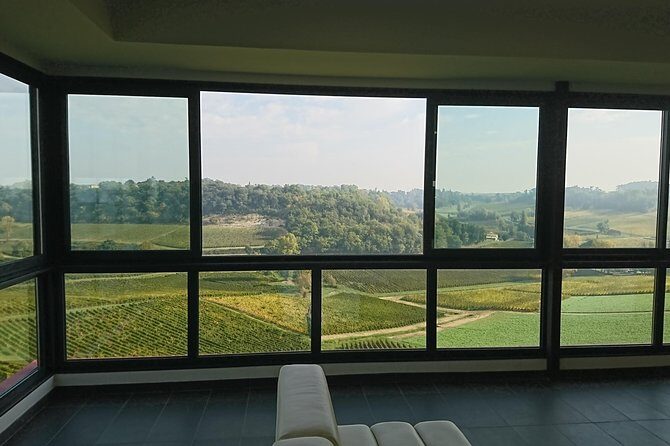 Full-day wine tour in Saint-Emilion (Premium Sedan) - Lunch at La Terrasse Rouge: design meets vineyard views